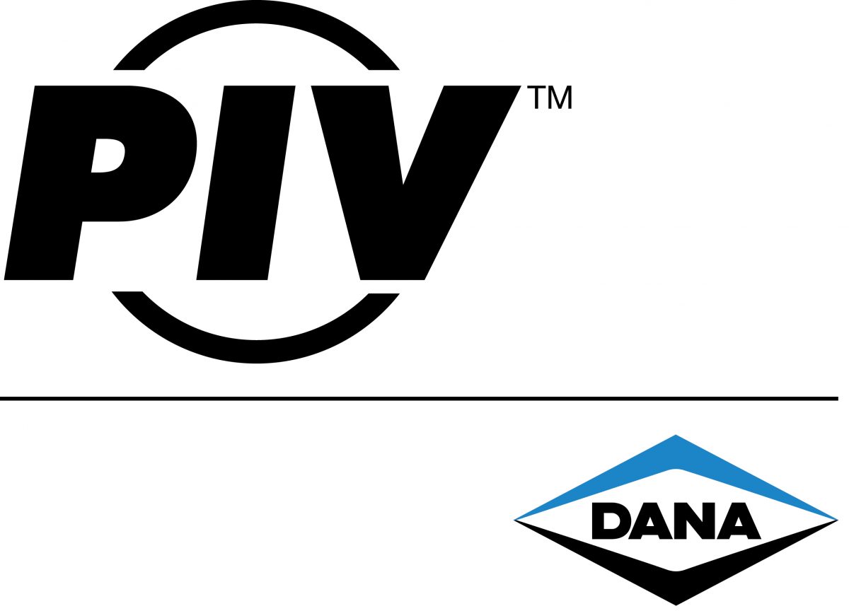 PIV Logo